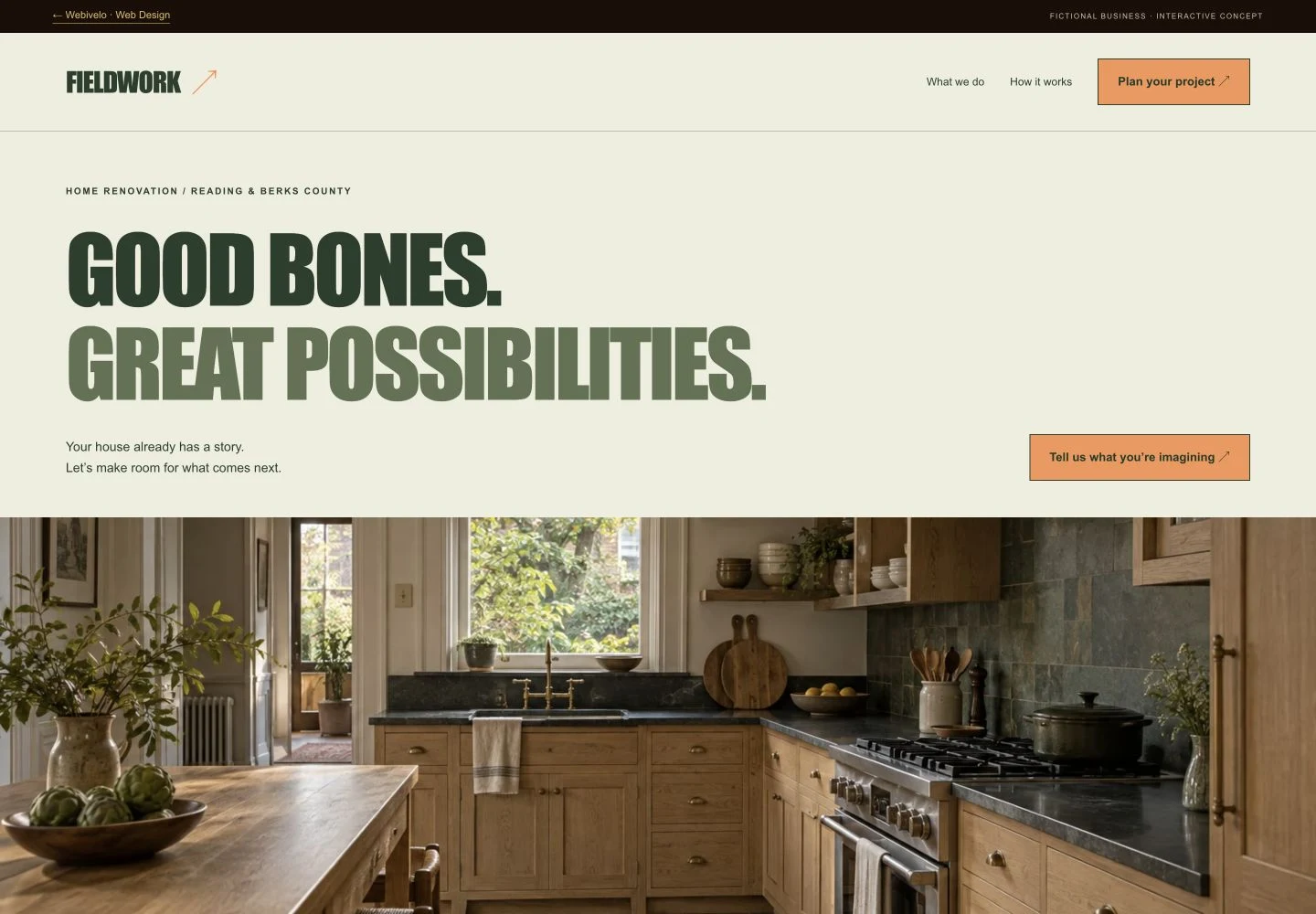 Fieldwork website overview